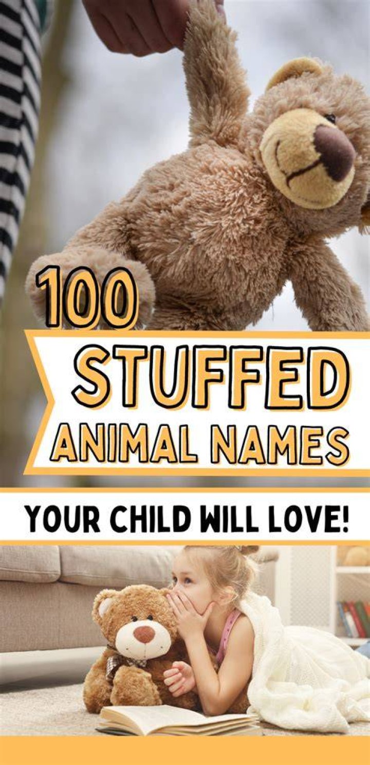 100 Names for Stuffed Animals Your Child Will Love! Stuffed animal names, Teddy bear names