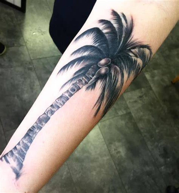 120+ Best Palm Tree Tattoo Designs and Meaning [Ideas of 2019]
