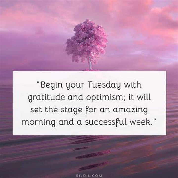 140+ Inspiring Tuesday Motivation Quotes for Work & Daily Life