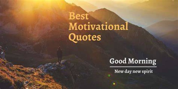 20 Motivational Don't Settle For Less Quotes Best Life Hayat