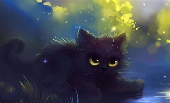 🔥 [40+] Cute Anime Cat Wallpapers WallpaperSafari