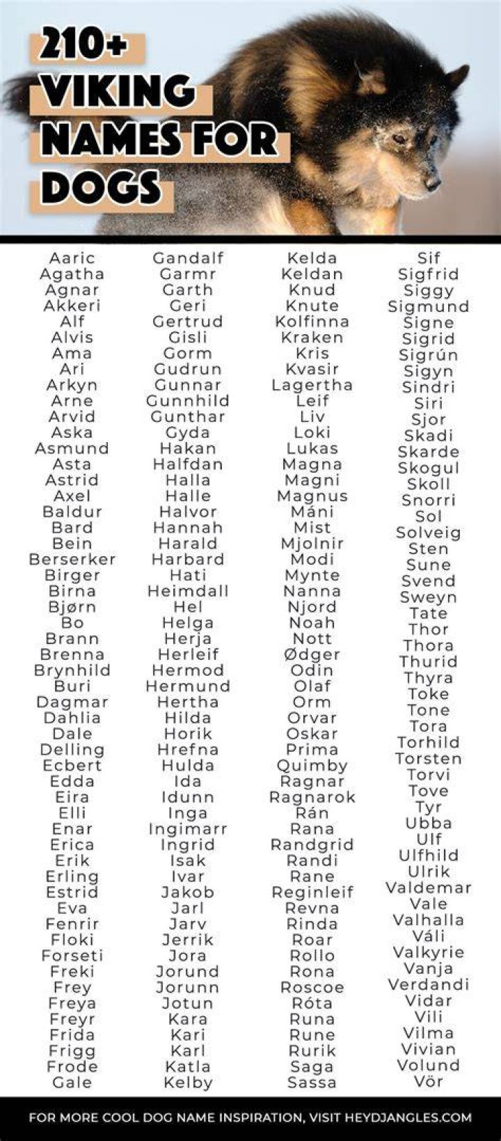 400 Catchy Female And Male Wolf Names Ideas And Suggestions