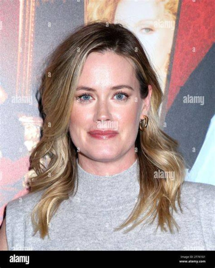 Abigail Hawk Metro Biography