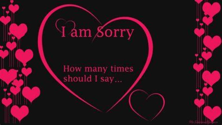 Am Sorry Wallpapers Wallpaper Cave