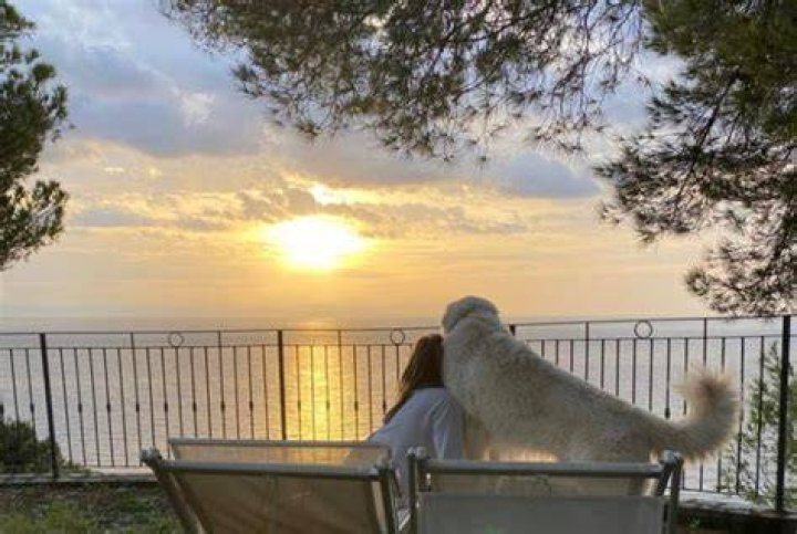 Beaches in Italy have dog lifeguards