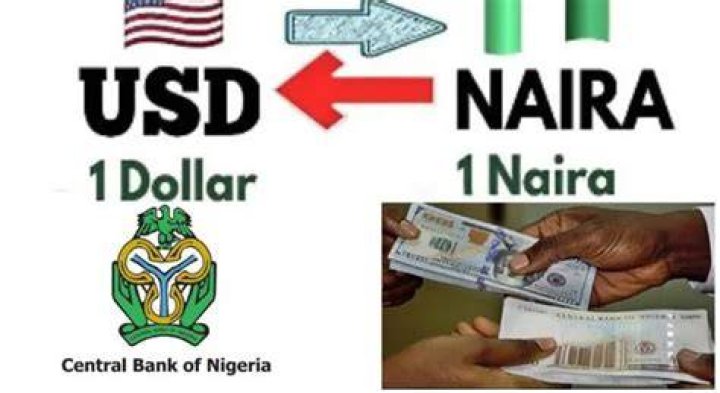 Black Market Dollar to Naira Exchange Rate 4 November 2023 Rifnote