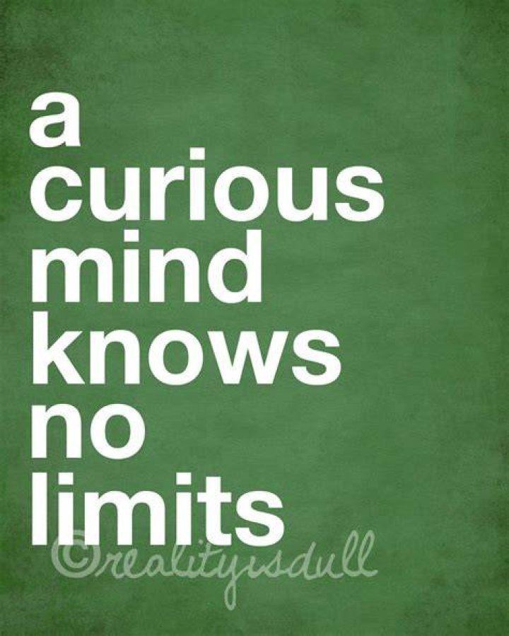 Curious Funny Quotes. QuotesGram