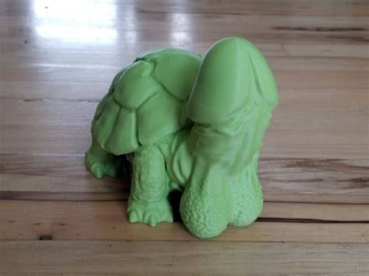 Dick Turtle 3D Printed Figurine Etsy UK