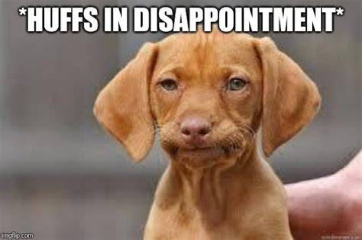 disappointed Memes Imgflip