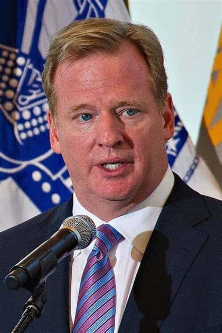 Does Roger Goodell Have Sister? Brother Tim And Michael Goodell