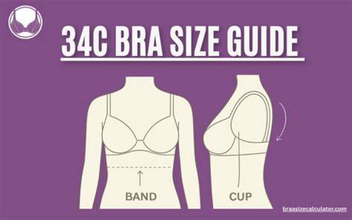 How Big Is a 34C Bra Cup Size? TheBetterFit