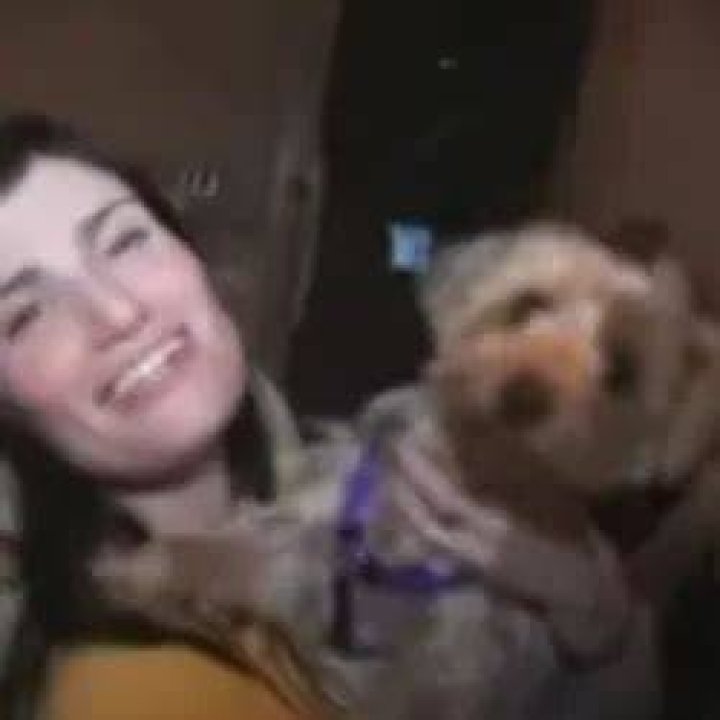 Idina Menzel Pets - Celebrity Pets