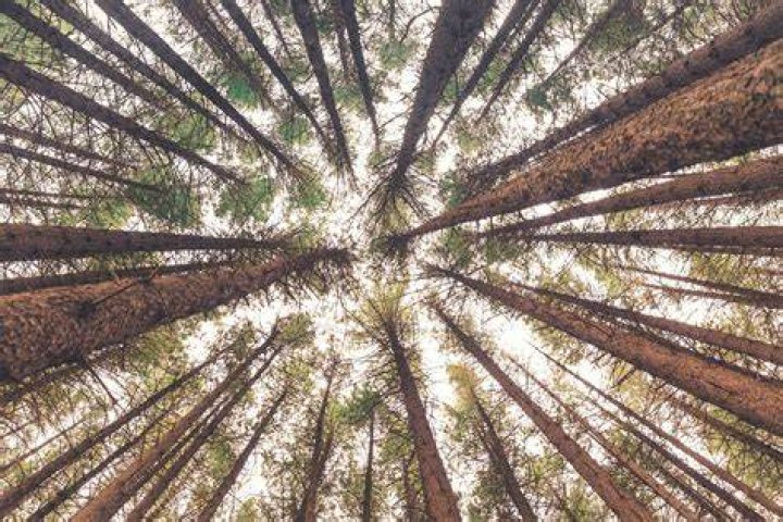 liam-pozz-yjmJBkKn26k-unsplash