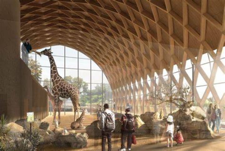Magnificent Zoos Near You: Explore Savannah's Animal Wonders
