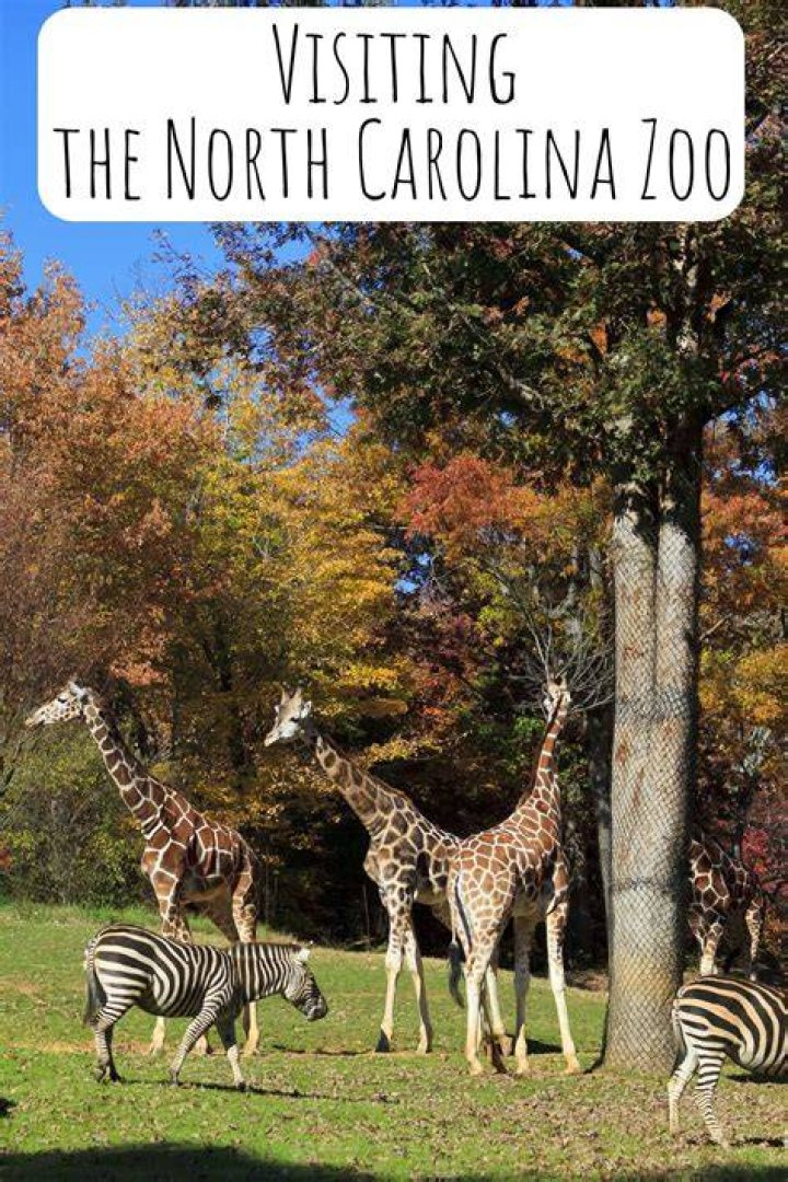 North Zoo