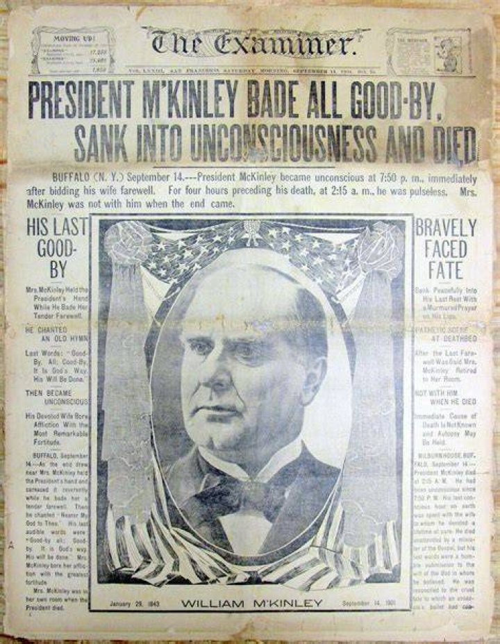 Others WILLIAM McKINLEY (18431901) painting WILLIAM McKINLEY (18431901) print for sale