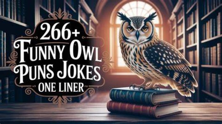 owl puns &mdash; Weasyl