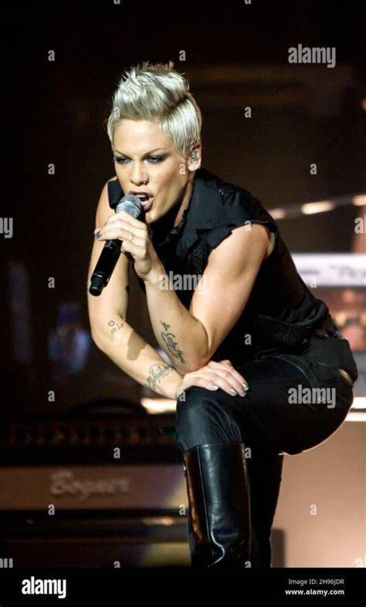 Pink's Daughter Willow Joins Her on Stage to Perform on Tour Watch