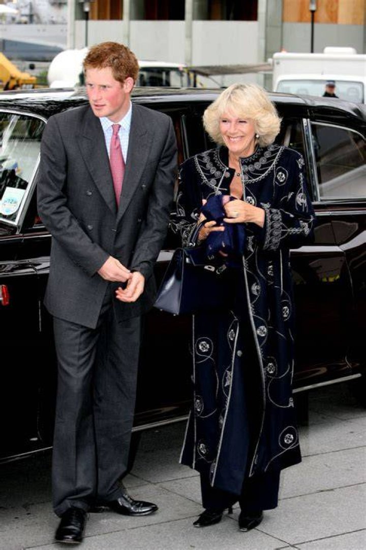 Queen Camilla And Prince Harry's Relationship: A Complex Tale Of Rivalry And Reconciliation