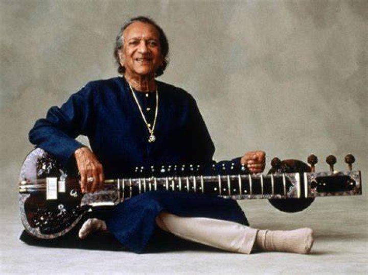 Ravi Shankar photo 3