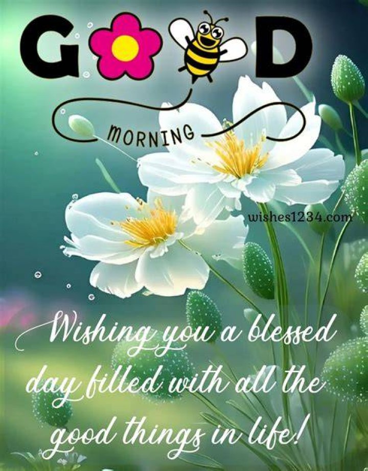 Smile And Blessings Good Morning Quote Pictures, Photos, and Images for Facebook, Tumblr