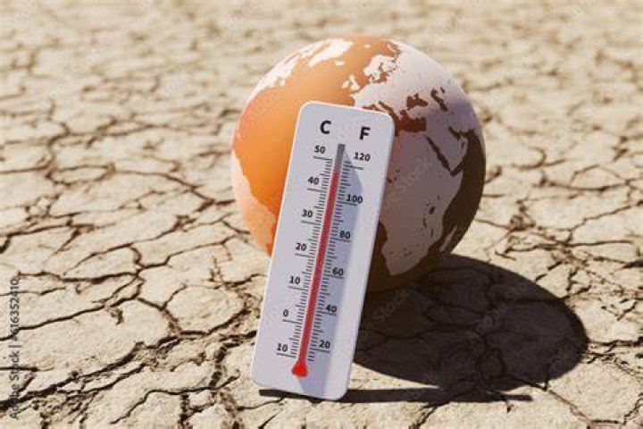 The temperature is rising for Chef Yohann Ocala Gazette