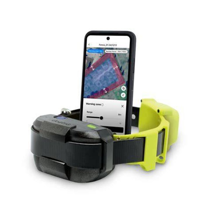 The Ultimate Guide To The Best Geofence Dog Collars Available