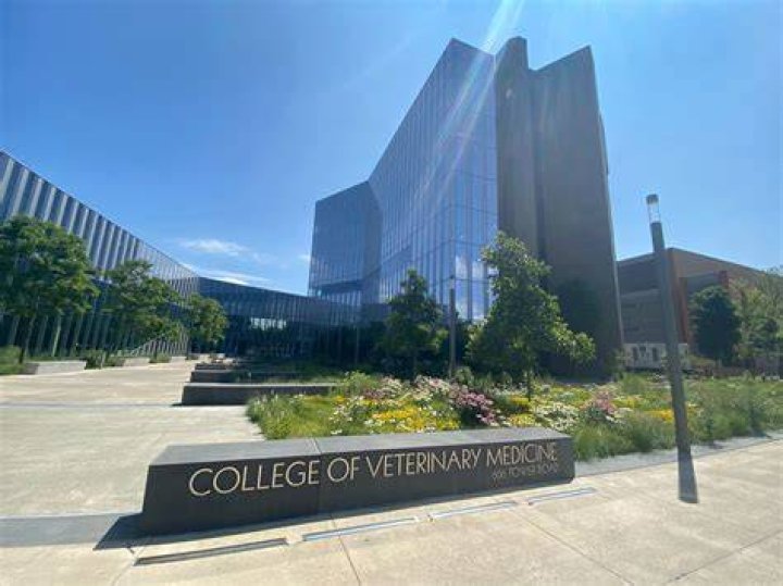 The University of Veterinary Medicine Budapest and Talentis Agro Zrt