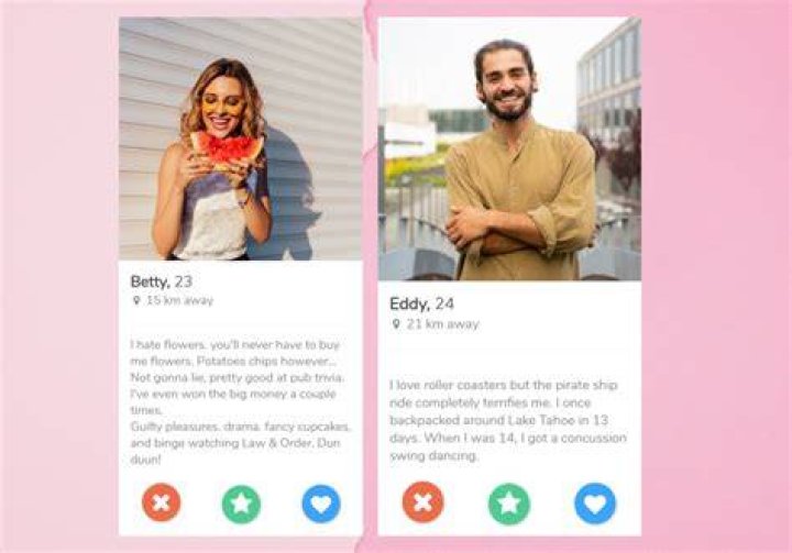 Tinder Bio For Girls Template for Dating Profile