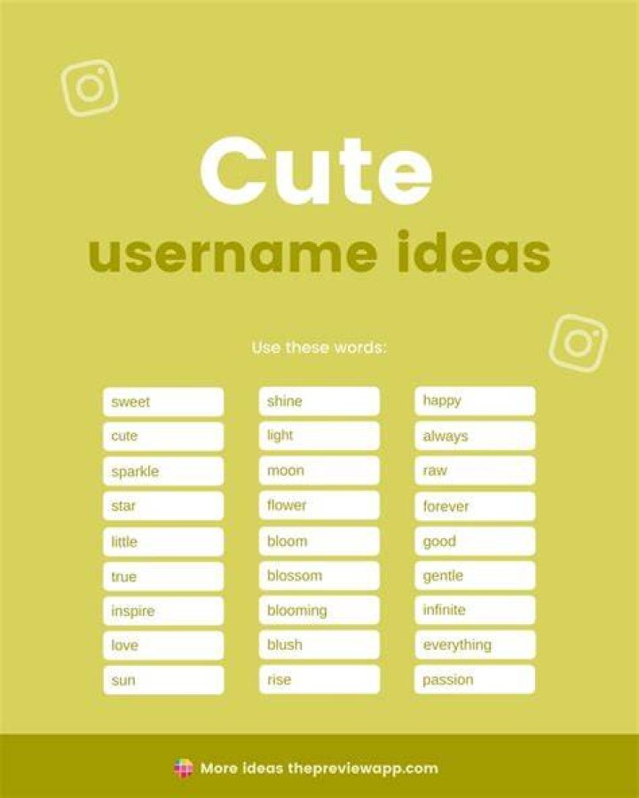 Username Ideas 🌼 Usernames for instagram, Name for instagram, Instagram captions clever