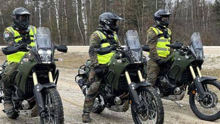 wenn20954053