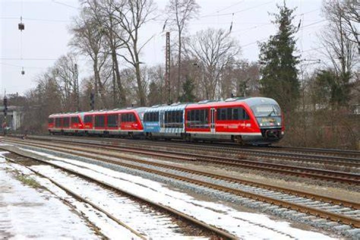 wenn33614642