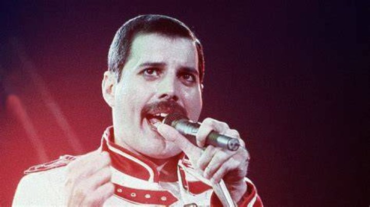 What Happened To Freddie Mercury's Family? Grunge TrendRadars