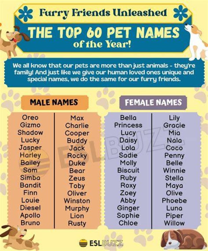 What Pet Name Should You Bestow Upon Your Significant Other? Names for girlfriend, Cute names