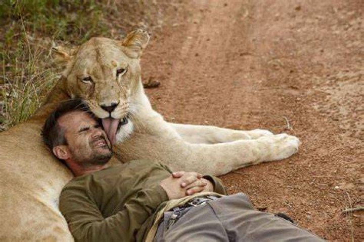 World&rsquo;s Finest Lion Whisperer Kevin Richardson Save Our Green